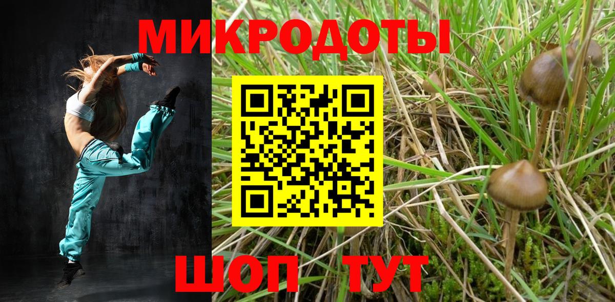 Тихвин  Псилоцибиновые грибы Psilocybine cubensis  Псилоцибиновые грибы мухоморы  хочу   Вход с VPN 