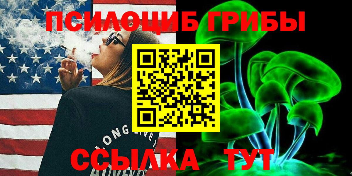 Псилоцибиновые грибы мицелий Тихвин